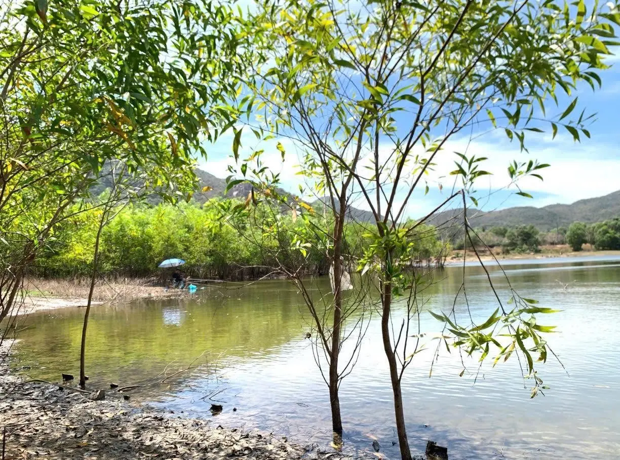 自然风光